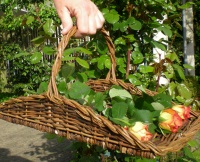 Bloemenplukmand
